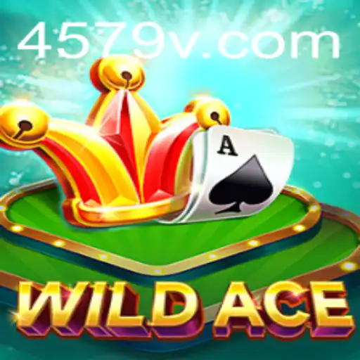 Discovering WildAce: The Thrilling Adventure Taking the Gaming World by Storm